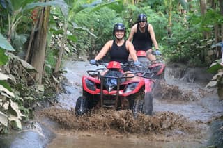 Bali Atv Quad Bike Adventures on Rain Forest View