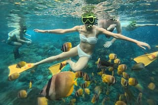 Nusa Penida Highlight Snorkeling Manta Rays & Land Tour West Side
