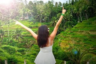 Ubud Day Trips: Waterfall, Temple, Rice Terrace, Hidden Forest
