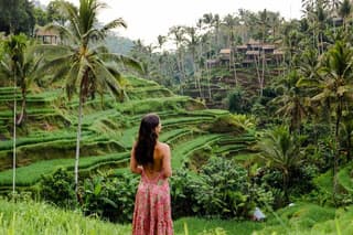 Ubud Premium Escape – Discover Bali's Hidden Paradise