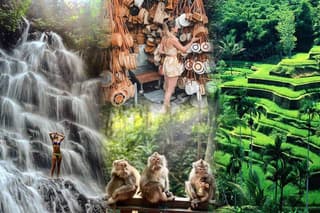 Full Day Ubud Tour Waterfall Monkey Forest Rice Terrace
