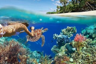 All Inclusive Bali Blue Lagoon Snorkeling Adventure