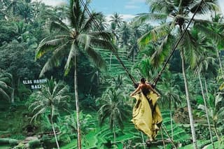Bali Swing, Monkey Forest and Waterfall - Private Tour