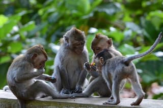 Bali Benoa Shore Excursion for Cruise's Passenger (Private Tour)