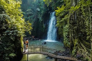 Ubud Full-Day Tour with Entry Tickets