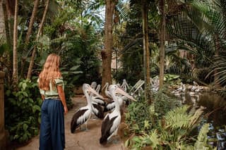 Bali City Pass Deluxe Top Attractions and Multiple Experiences