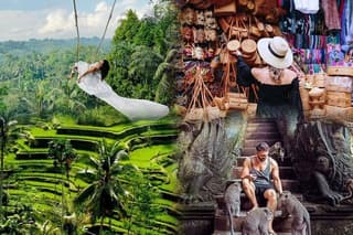 Full Day Bali Swing and Ubud Tour