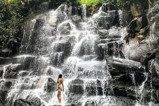 Ubud Holy Spring Water Temple, Rice Terrace and Waterfall Tour
