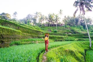 Authentic Ubud Experience with French Speaking Guide
