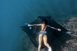 Bali Nusa Penida Manta Point Snorkeling with Land Tour