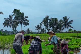 Tetebatu Walking Tour