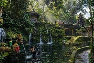 Hidden Gem Bali Purification with Private Guide and Transfer