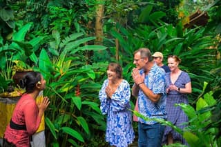 Kaura Pool and Dine Choose Optional Tour with Private Transfer