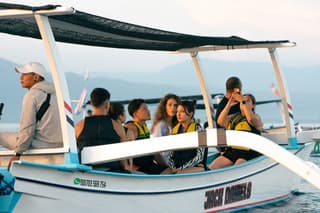 North Bali Expedition: See Dolphins, Hot Springs & Wanagiri Hills