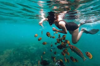 Sanur Snorkeling Experience in Coastal Area Include Transport