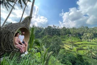 Ubud Tour with Monkey Sanctuary, Rice Terrace and Holy Spring