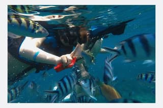 Bali Snorkeling: Blue Lagoon &Tanjung Jepun with Lunch & Transfer