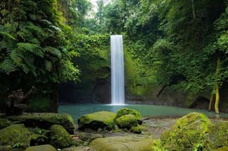 Customize Bali Private Day Tour with Local Driver