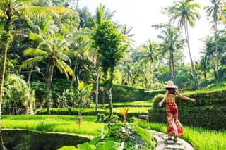 Ubud Cultural and Nature Tour with Monkey Forest and Rice Terrace