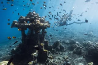 Tirta Gangga Underwater Temple Snorkeling and Virgin Beach Tour