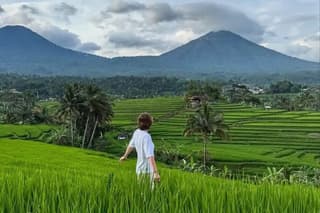 Bali Private Tour: Jatiluwih Rice Terraces, Monkey Forest & Swing