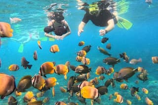 Nusa Penida Manta Snorkeling and Kelingking Beach Sunset View