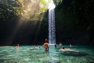Ubud: Waterfall, Temple & Rice Terrace All-Inclusive Private Tour