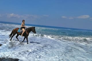 Black Sand Beach Horseback Riding Adventure in Bali