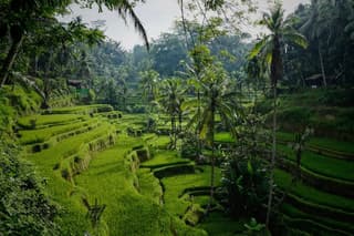 Bali Ubud Privat Tour with Guide Photographer