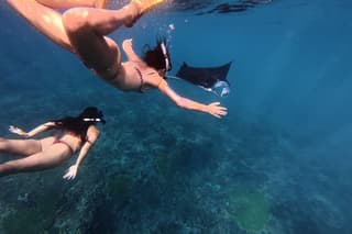 Bali Nusa Penida and Private Snorkeling (Manta Bay, Gamat, Wall)