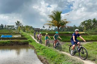 Ubud Wonderful Half Day Downhill Cycling Tour with Lunch