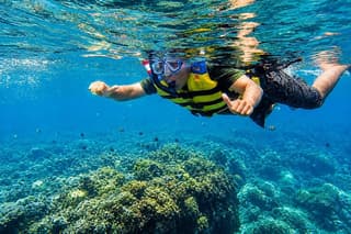 Blue Lagoon Snorkeling and Tirta Gangga Water Palace Experience