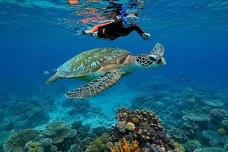 Bali Blue Lagoon Snorkeling and Tegenungan Waterfall
