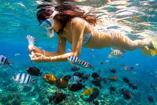 Lovina Dolphin Swim & Snorkel Sunrise with Scenic Viewpoints