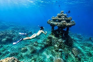 Bali Amed 4 Spot Snorkeling: Turtle Point and Under Water Temple