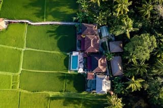 7 Days Community Yoga Retreat in Ubud Bali