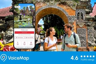 Ubud's Market, Palace and Hidden Museums: An Audio Tour