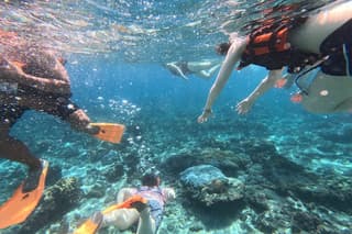 Nusa Penida West with Snorkeling Private Tour