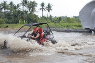 Bali: drive your own buggy in ubud with Meal
