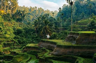 Ubud Hidden Gems Tour Nature Villages and Local Life