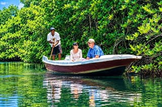 Nusa Dua Bali Mangrove Jungle Tour