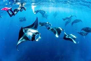 Bali: Nusa Penida Private Boat Snorkeling & Land Tour