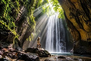 Private Ubud Tour: Waterfall, Rice Terrace & Monkey Forest