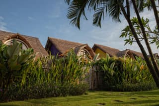United Colors of Bali
