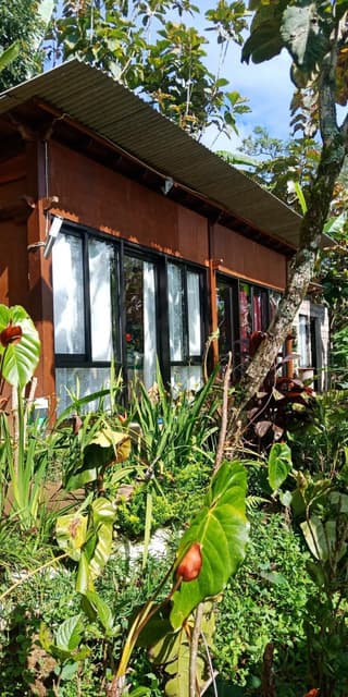 jungleadventure cabin camping