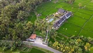 Green Coconut Cottage