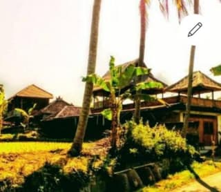 Pondok Diana 3