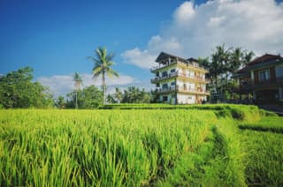 Nirwa Ubud Karma