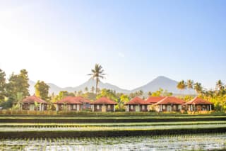 Sri Lestari Banyuatis