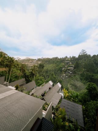 Magical Jungle Resort
